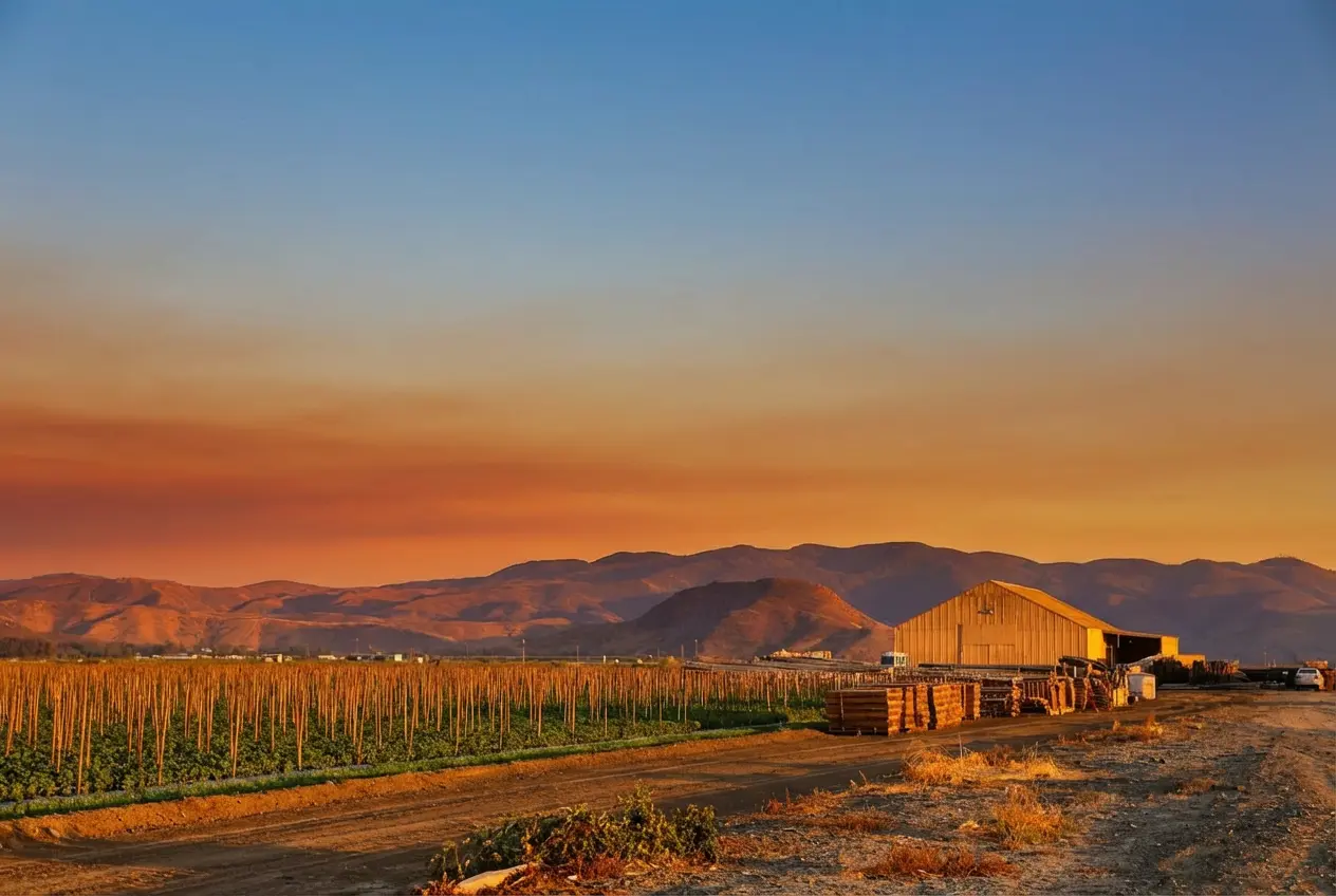 Lighting Enhancement - After